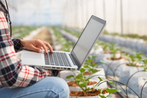 Земля как фундамент бизнеса: как получить и оформить участок для КФХ в 2026 году